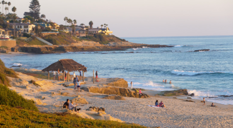 windansea beach